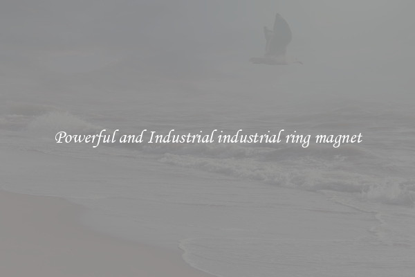 Powerful and Industrial industrial ring magnet