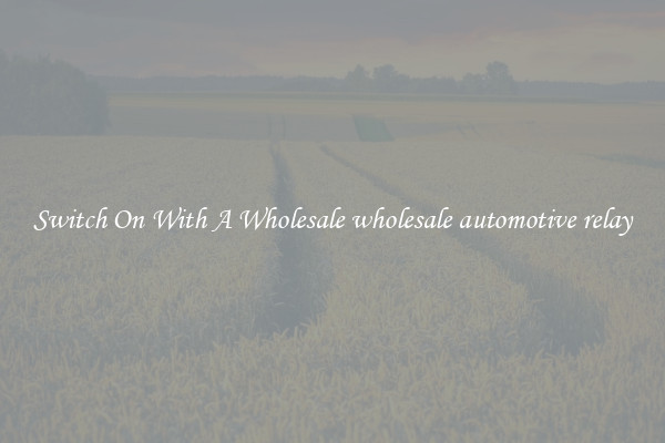 Switch On With A Wholesale wholesale automotive relay