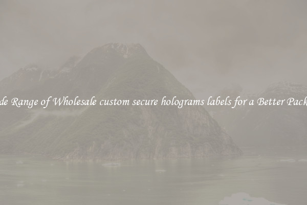 A Wide Range of Wholesale custom secure holograms labels for a Better Packaging 