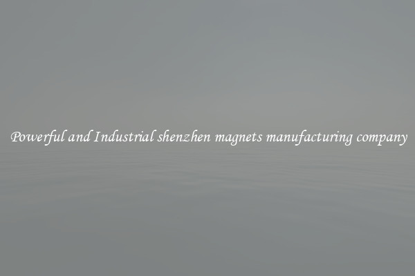 Powerful and Industrial shenzhen magnets manufacturing company