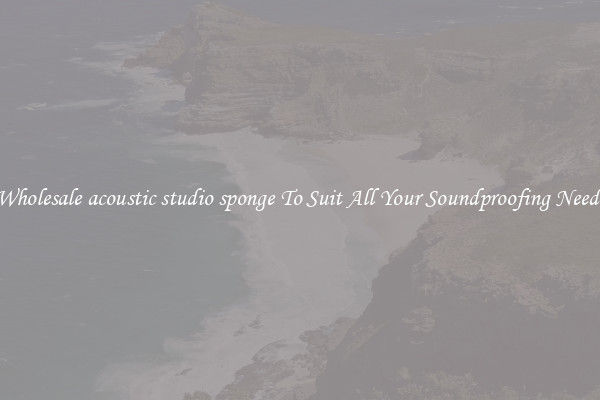 Wholesale acoustic studio sponge To Suit All Your Soundproofing Needs