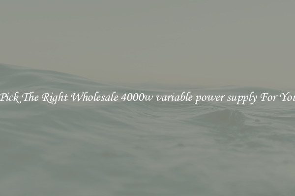 Pick The Right Wholesale 4000w variable power supply For You