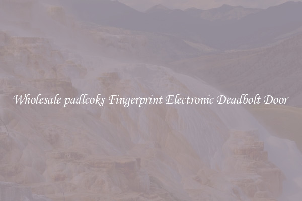 Wholesale padlcoks Fingerprint Electronic Deadbolt Door 