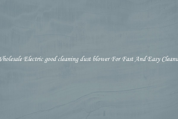 Wholesale Electric good cleaning dust blower For Fast And Easy Cleanup