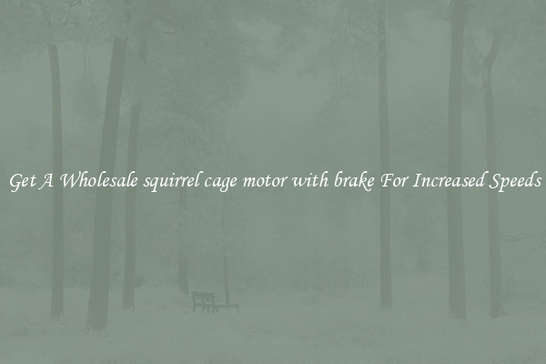 Get A Wholesale squirrel cage motor with brake For Increased Speeds