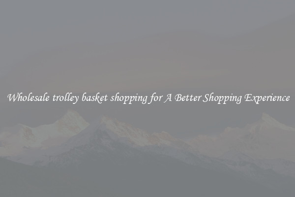 Wholesale trolley basket shopping for A Better Shopping Experience