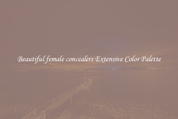 Beautiful female concealers Extensive Color Palette
