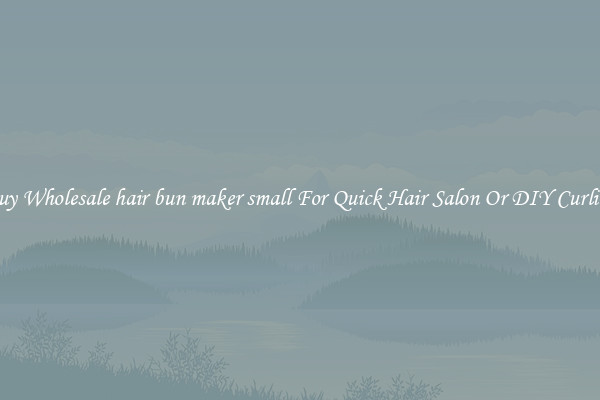 Buy Wholesale hair bun maker small For Quick Hair Salon Or DIY Curling