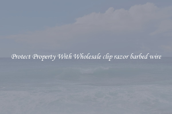 Protect Property With Wholesale clip razor barbed wire