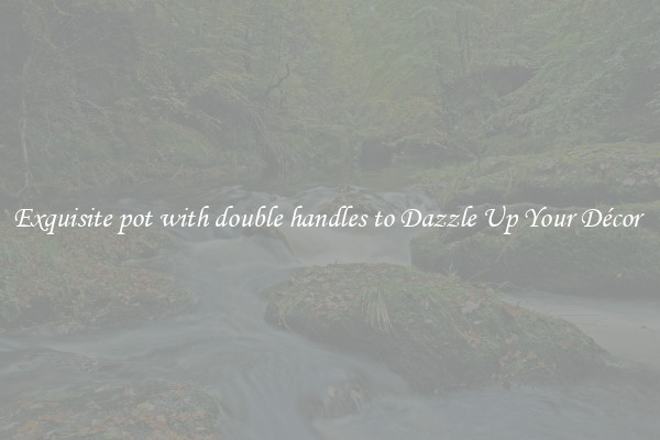 Exquisite pot with double handles to Dazzle Up Your Décor 