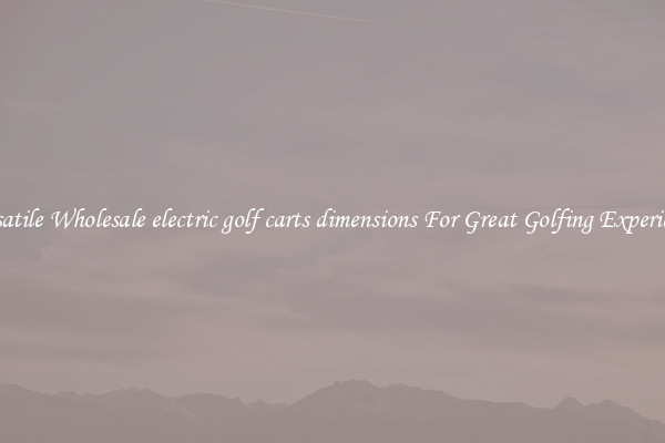 Versatile Wholesale electric golf carts dimensions For Great Golfing Experience 