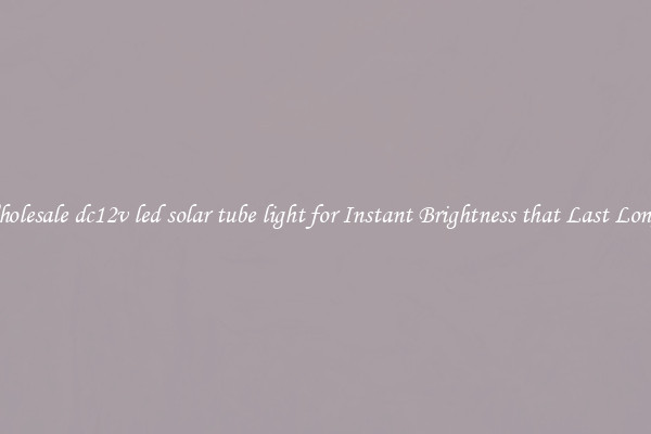Wholesale dc12v led solar tube light for Instant Brightness that Last Longer