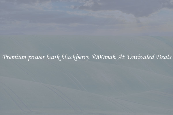 Premium power bank blackberry 5000mah At Unrivaled Deals