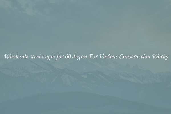 Wholesale steel angle for 60 degree For Various Construction Works