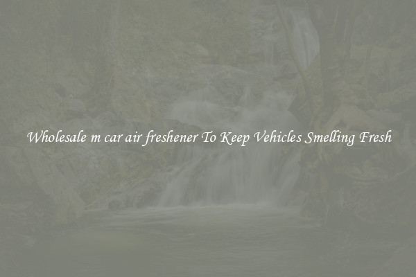 Wholesale m car air freshener To Keep Vehicles Smelling Fresh