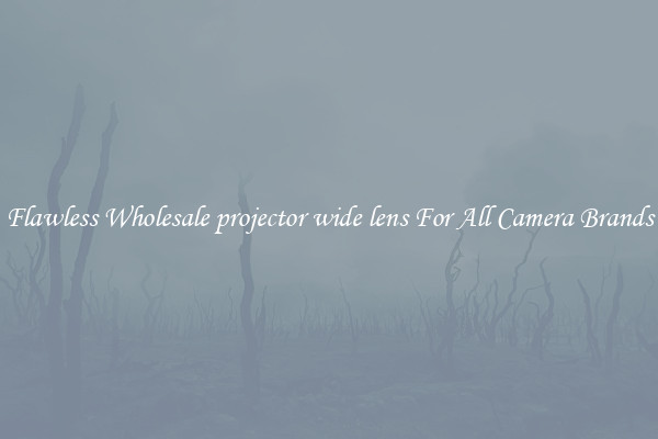 Flawless Wholesale projector wide lens For All Camera Brands