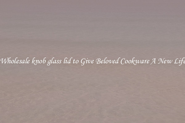 Wholesale knob glass lid to Give Beloved Cookware A New Life