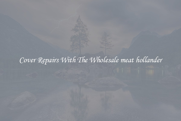  Cover Repairs With The Wholesale meat hollander 