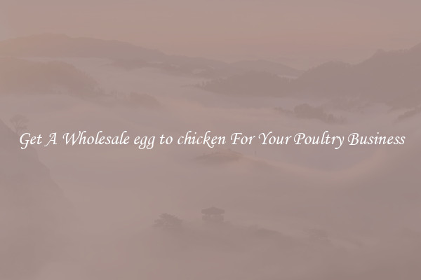 Get A Wholesale egg to chicken For Your Poultry Business